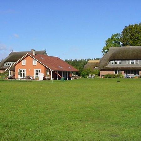 Ferienwohnung Nr 07 Og Spitzboden Born Eksteriør bilde